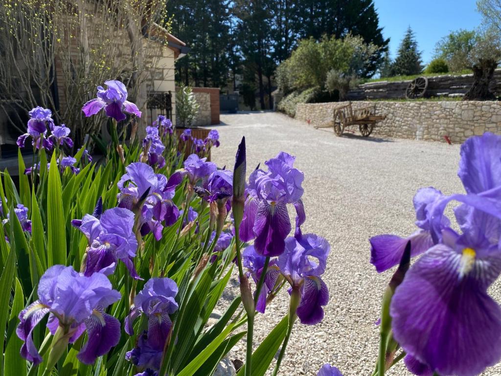 B&B / Chambre d'hôtes Le Relais de Campagne Lespinet 82110 Tréjouls