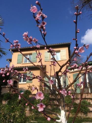 Le Relais des Malettes Chambres d'hôtes B&B
