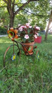 Le Saule Rêveur