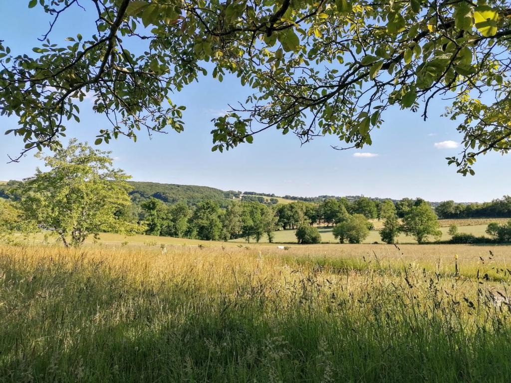 Le Temps Serein Le Bourg Vabre Tizac, 12240 Vabre-Tizac