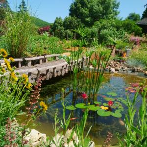 B&B / Chambre d'hôtes Le tilleul à fleurs lieu dit : Poudens haut le tilleul 46340 Dégagnac Midi-Pyrénées