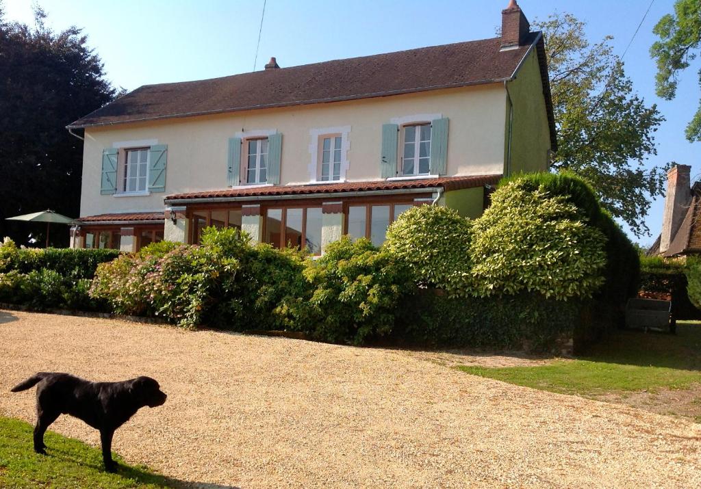B&B / Chambre d'hôtes Le Tulipier de la Serre La Serre 87500 Saint-Yrieix-la-Perche