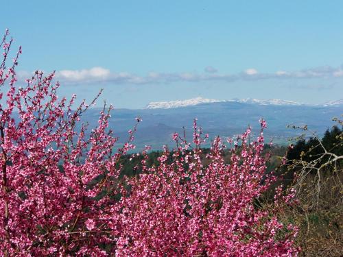 Le Vallon d'Armandine, gîte écologique Auvergne