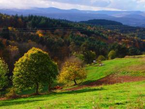 Le Vallon d'Armandine, gîte écologique Auvergne