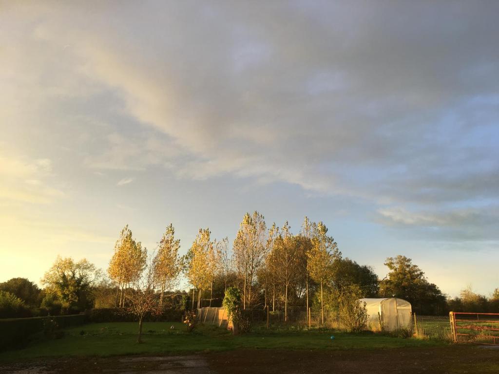 B&B / Chambre d'hôtes Le Vert Buisson Lieu dit Le Vert Buisson 14330 Cartigny-lʼÉpinay