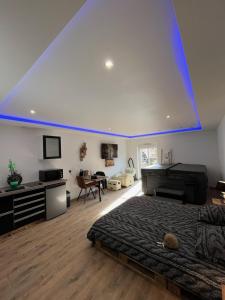 Led & bo
