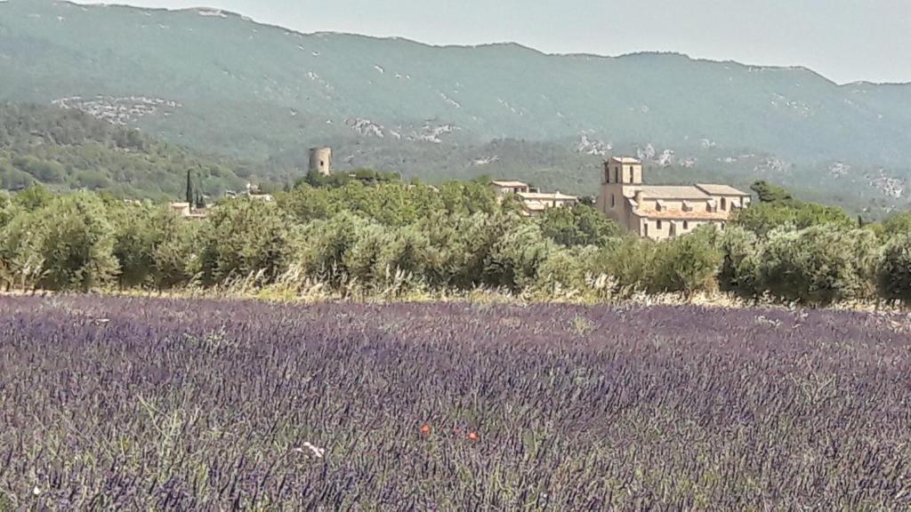 B&B / Chambre d'hôtes les 3 saisons 206a chemin du cagnard 84160 Cucuron