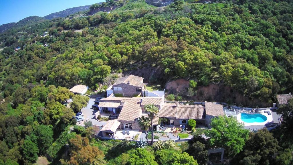 Les Aurochs Chemin de l'oratoire Quartier Embaude, 83310 Grimaud