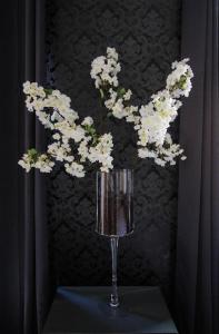 Les Bories in the city - Bed & Breakfast