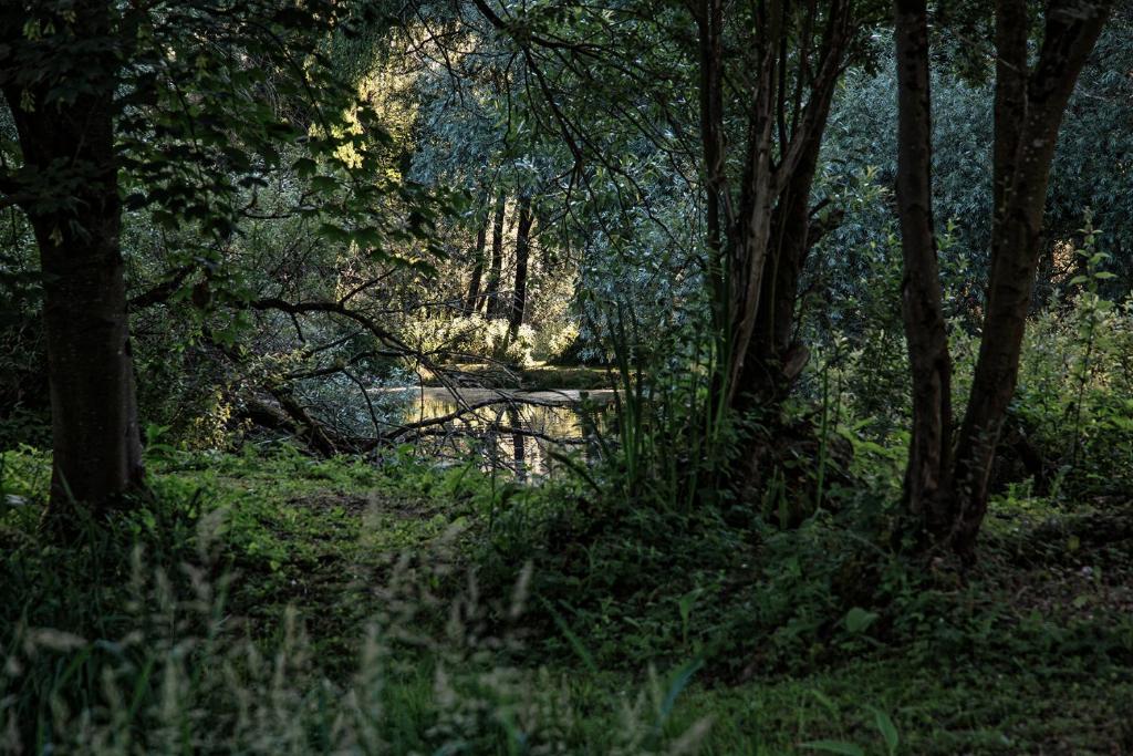 Les Cabanes Des Marais Chemin du Pont Blanc, 62170 La Madelaine-sous-Montreuil