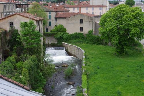 les camélias