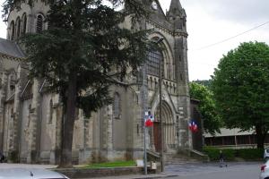 les camélias