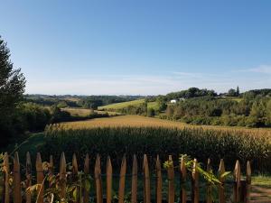 B&B / Chambre d'hôtes Les Chemins de Berdis 194 Chemin de Berdis 40380 Montfort-en-Chalosse Aquitaine