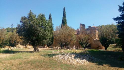 Les Cigales
