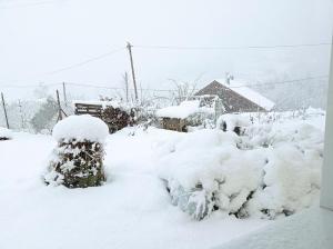 B&B / Chambre d'hôtes Les Clés de XOULCES 19 Chemin des Fossés 88310 Cornimont Lorraine