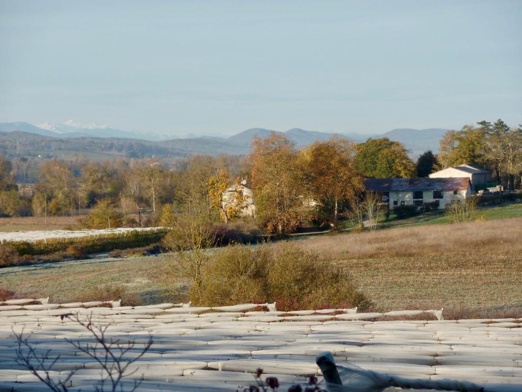 B&B / Chambre d'hôtes Les deux Flamands et Filous Domaine du Bedou 09500 Cazals-des-Baylès