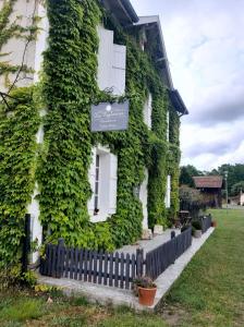 B&B / Chambre d'hôtes Les Eygletières 253 route de maillas La gare 40120 Bourriot-Bergonce Aquitaine