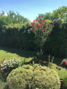 Les Hauts de Castets