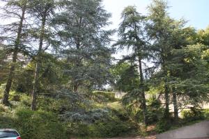 Les Hauts de Perrache
