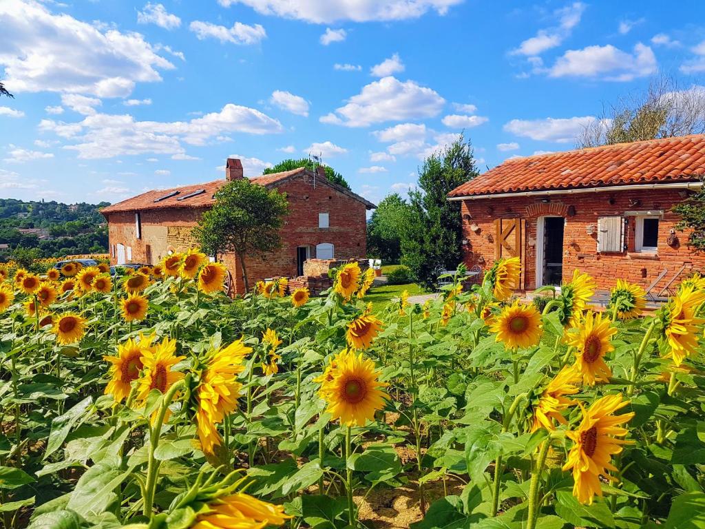 B&B / Chambre d'hôtes Les Hauts de Sames Lieu-dit Sames, 40 route de Pompertuzat 31450 Deyme