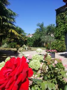 B&B / Chambre d'hôtes Les Hortensias - Chambres d'hôtes 30 rue de l'église lieu dit st aulaye 24230 Saint-Antoine-de-Breuilh Aquitaine