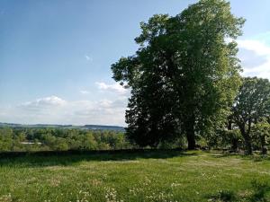 B&B / Chambre d'hôtes Les Indrins Les Indrins 58180 Marzy Bourgogne