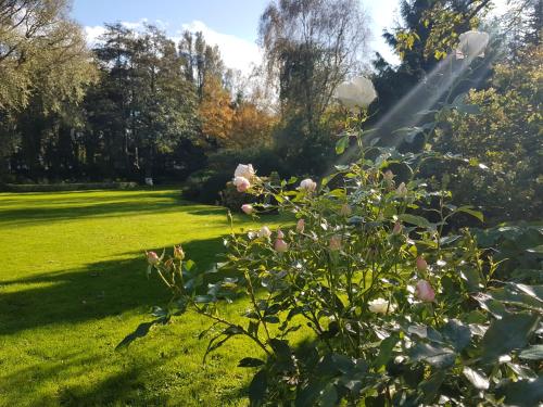 Les Jardins