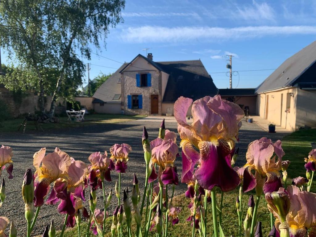 B&B / Chambre d'hôtes Les Logis du Breuil 5 rue du loir Le Breuil 28120 Marchéville