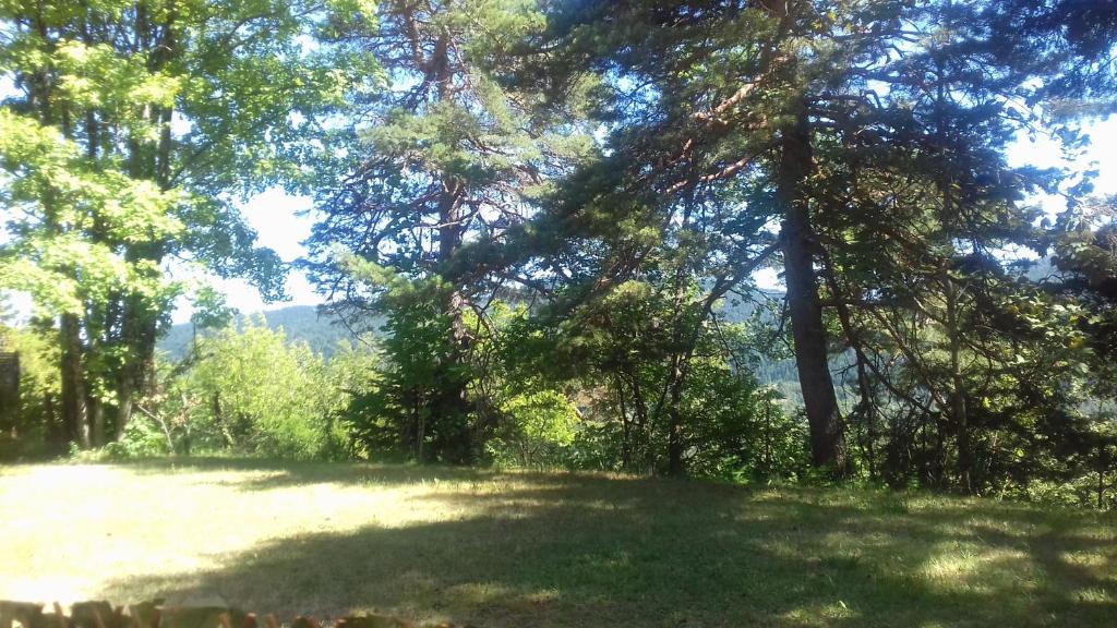 Les Marronniers