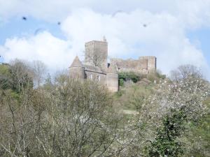 Les Marronniers
