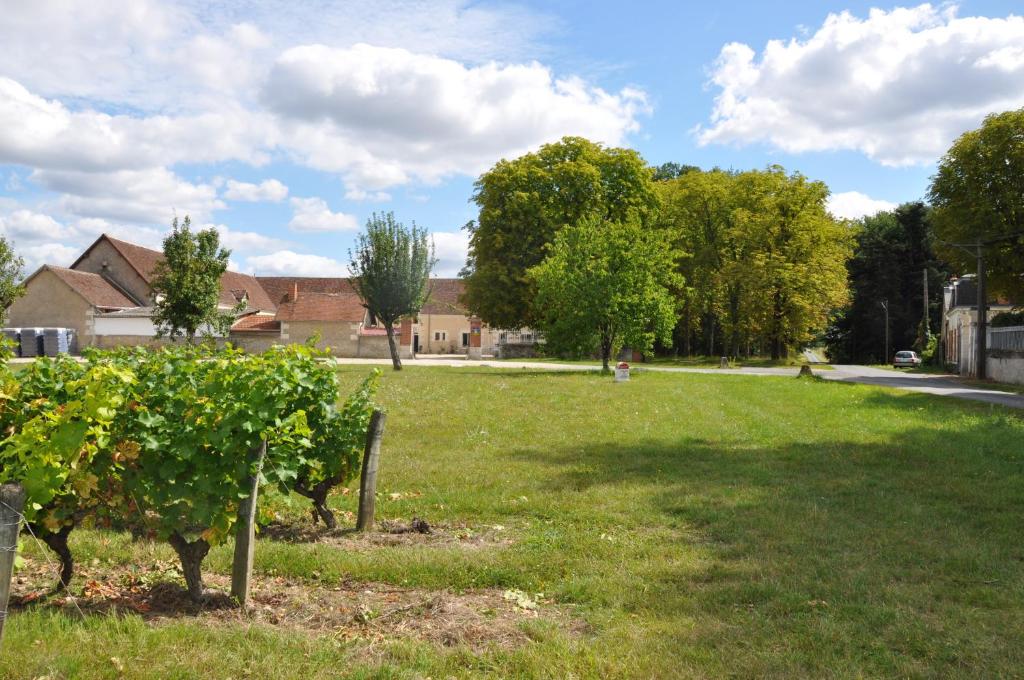 B&B / Chambre d'hôtes Les Pierres D'aurèle Chambres d'Hôtes 1 La Chauverie 41400 Saint-Georges-sur-Cher