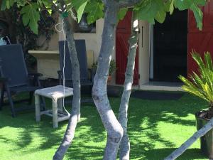 Les terrasses sur mer