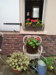 B&B / Chambre d'hôtes Les Tournesols L'Emerière 85610 La Bernardière Pays de la Loire