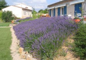 B&B / Chambre d'hôtes Les Tourterelles 57 chemin du Plan des Combes 83440 Callian Provence-Alpes-Côte d\'Azur