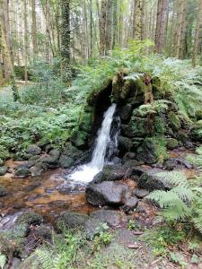 B&B / Chambre d'hôtes Les Vergers de Freya Samarue 87130 Neuvic-Entier Limousin