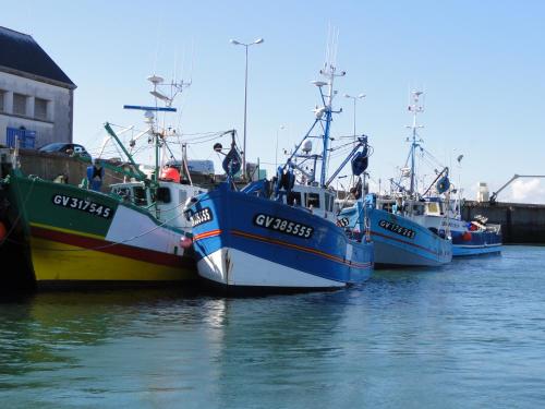 les volets bleus