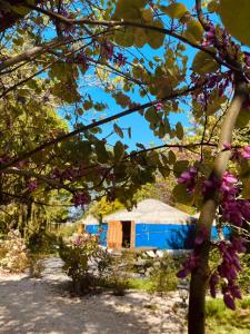 B&B / Chambre d'hôtes Les Yourtes Du Béarn - Domaine des deux clos 136 rue de l'église 64460 Pontiacq-Viellepinte Aquitaine