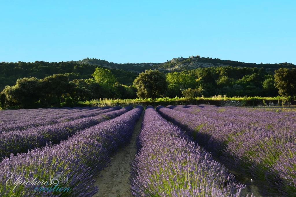 B&B / Chambre d'hôtes Lo Rastelié 211 Chemin des Grandes Granges 26790 Suze-la-Rousse