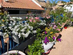 B&B / Chambre d'hôtes Loft Apartment , La Terrasse Centre Ville d'Arles, 21 Rue Pierre Euzeby 13200 Arles Provence-Alpes-Côte d\'Azur