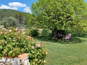 B&B / Chambre d'hôtes Lou Viei Jas Quartier La Croix de Peyrard 944 Ancienne Route de Montferrat 83830 Figanières Provence-Alpes-Côte d\'Azur