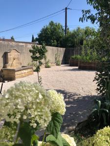 Lulu en Provence