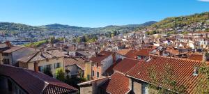 Maison au Loup - Superbe ancien hotel particulier du XVIe siècle au cœur de la vieille ville du Puy