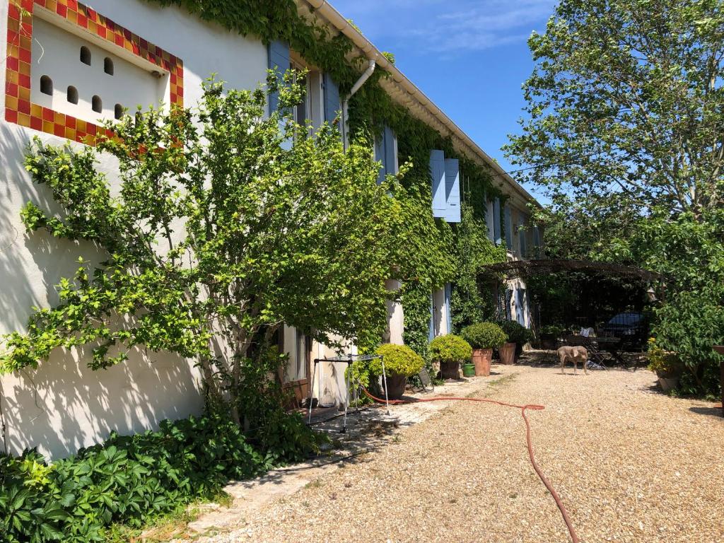 B&B / Chambre d'hôtes Maison d'Hôtes Campagne La Nègre La Nègre 13790 Peynier