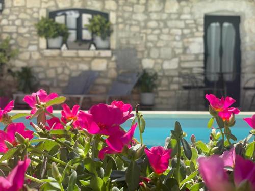 Maison d'hôtes Payan Champier
