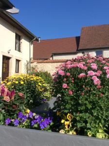 B&B / Chambre d'hôtes Maison d’izier 16 rue du général de Gaulle 21110 Izier Bourgogne