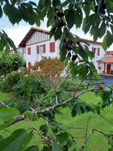 Maison Errientania