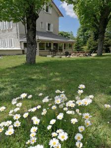 B&B / Chambre d'hôtes Maison La Vigne - Gîtes et Chambres d'hôtes La Vigne 43400 Le Chambon-sur-Lignon Auvergne