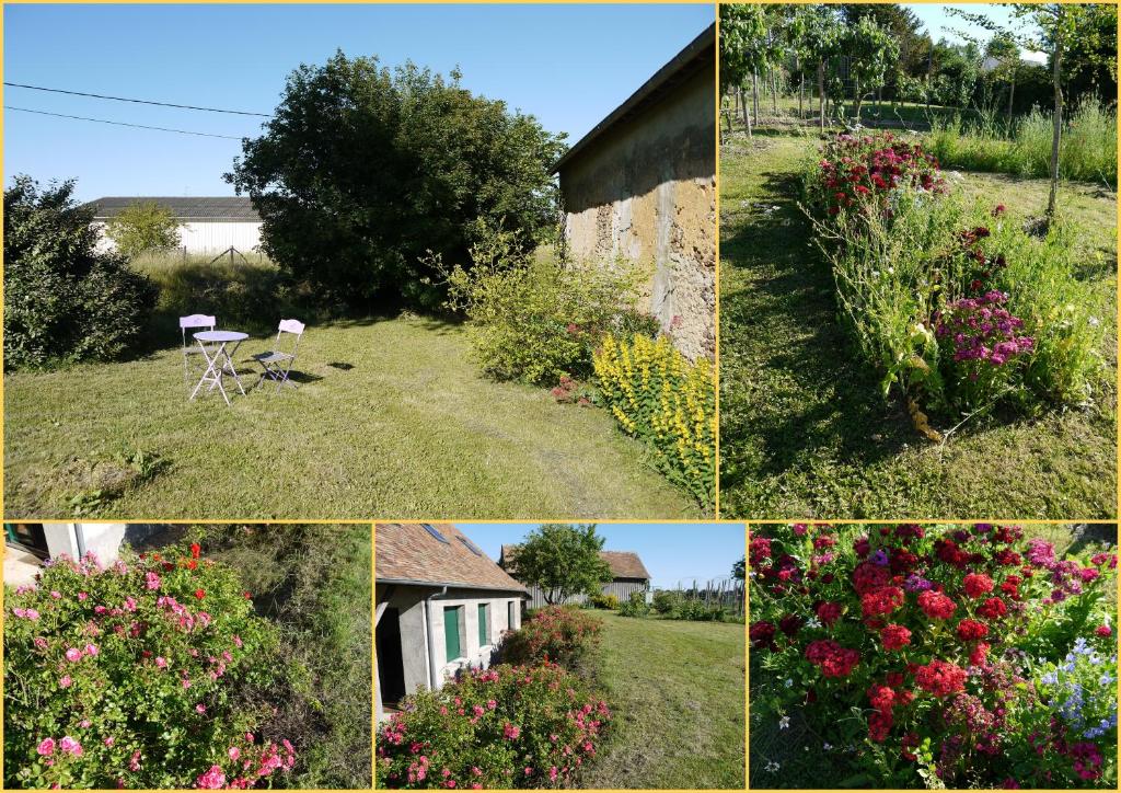 B&B / Chambre d'hôtes Maison proche circuit 24h du Mans lieu dit le frêne, les venelles 72210 Louplande