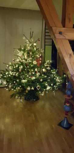 maisonbleue67