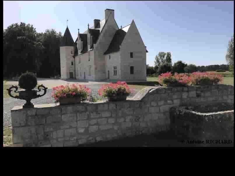 B&B / Chambre d'hôtes Manoir de Chandoiseau 3 Route de Chinon 86120 Les-Trois-Moutiers
